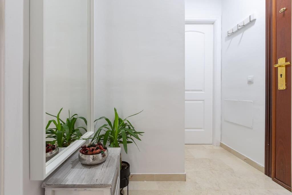 Apartamento Suite Centrico Μάλαγα Εξωτερικό φωτογραφία